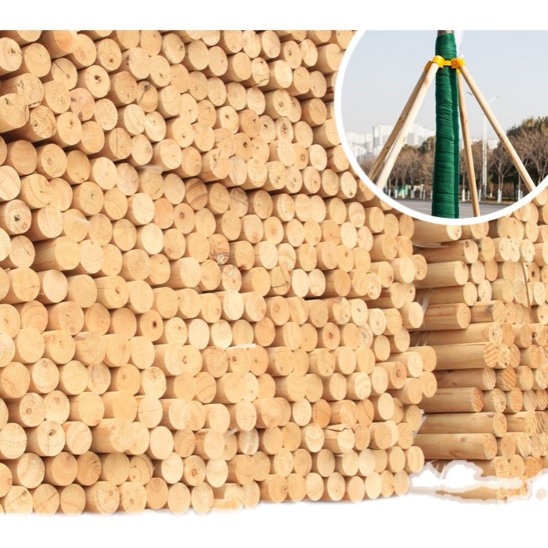 极速树木支撑架园林绿化防风工程稳定支架支撑固定U器杆杉木松木