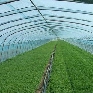 极速新销暖棚农资仓库防冻盖布y无滴膜温室大棚棚膜覆盖果树保温