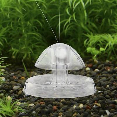 极速1PC Fdish Tank Accessories Aquarium Plant Snail Trap Cat