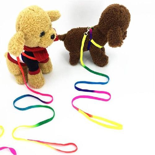 极速1 PC Colorful Rainbow Durable Dog Collar 12T0CM Traction