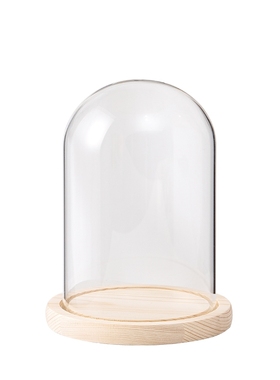 极速干燥a花保存瓶玫瑰花束软木塞透明收纳展示盒永生模型摆件制