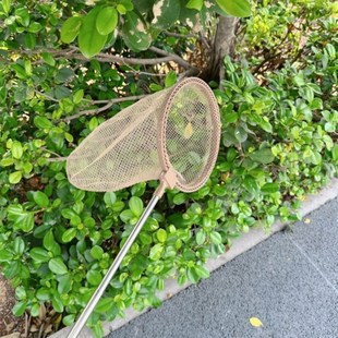 极速出口韩国儿童昆虫植物观察盒放大镜捕虫捞鱼网U户外探索套装