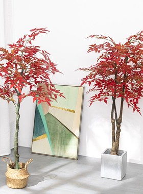 极速仿真绿色f植物假红枫树盆栽植物造景枫叶装饰花客厅落地摆件