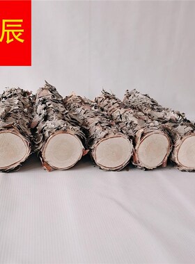 新品铁桦木铁桦树桦木原木铁桦D原木装饰树隔断橱窗隔断湿木料
