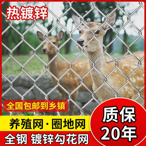 极速镀锌勾花网铁丝网养殖围栏网防护网围墙栅R栏圈地圈牛羊钢丝