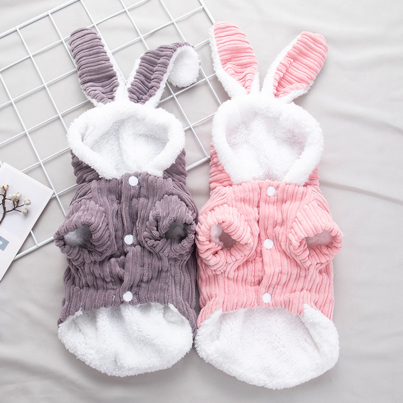 速发宠物猫咪衣服可爱狗狗衣服兔子装柯基博美泰迪比熊幼犬秋冬装