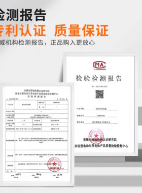 新品适用小刀电动车电瓶车载充电器48AV12AH60V20AH72全新原装石