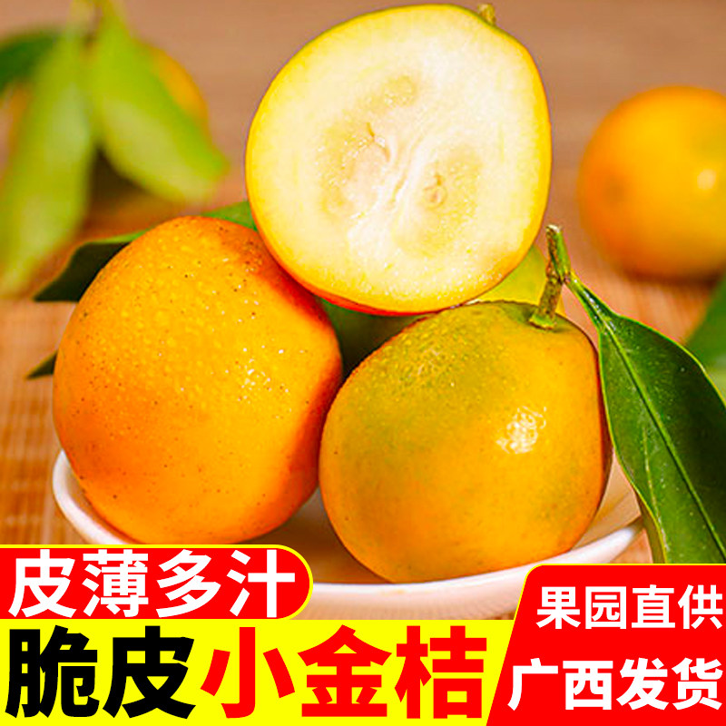 广西脆皮金桔10斤新鲜桔子应当季现摘水果纯甜蜜小金柑桔金橘整箱
