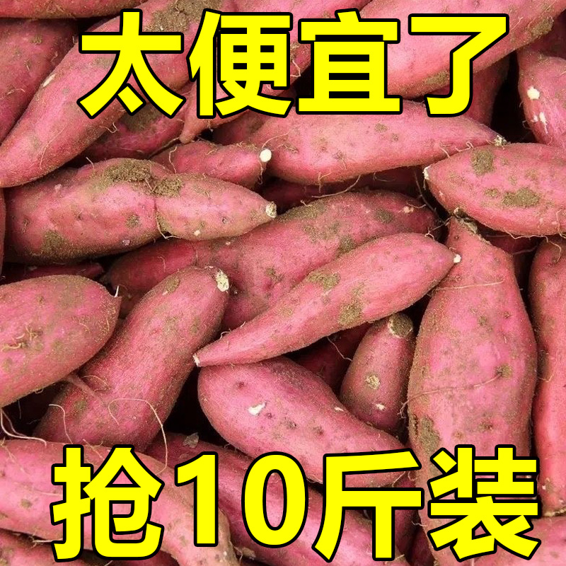 板栗蜜薯10斤新鲜红薯农家自种西瓜红糖心地瓜烟薯25号番薯小香薯