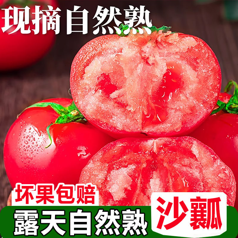 正宗新疆品种自然熟沙瓤西红柿非普罗旺斯现摘新鲜水果蔬菜番茄10