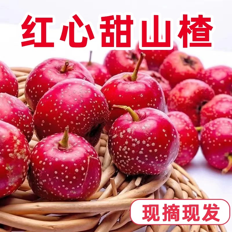 甜红子山楂果新鲜农家水果整箱小金星山里红甜口野生小山楂果包邮