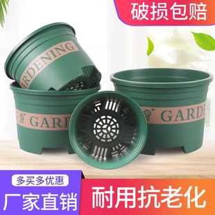 绿萝简约控根 绿植花卉月季 加仑盆兰花盆树脂塑料大号创意个性 矮款