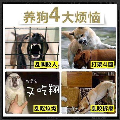 速发让狗狗不叫的神器消音止吠器防止狗叫不让狗乱叫防咬嘴套小狗