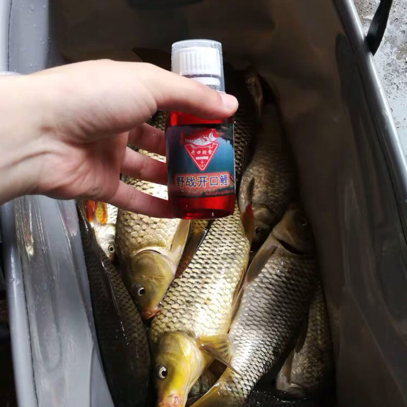 极速野战开口鲤钓鱼小药r野钓鲤鱼饵料诱食剂鲤鱼小箹窝料配方渔