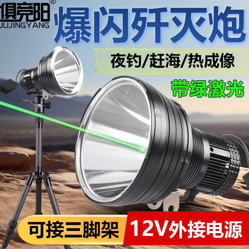 12V热成像歼灭炮绿激光LED三档遥控爆闪户外赶海可接三脚架钓鱼灯,户外/登山/野营/旅行用品,钓鱼灯,淘宝优惠券,粉丝福利购,淘宝优惠卷