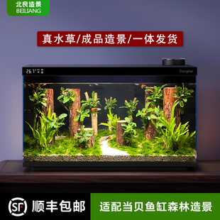 鱼缸造景适配当贝鱼缸米家鱼缸成品森林造景沉木石头水草造景套餐