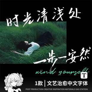 手写中文字体vlog视频剪辑英文飞白随意风海报标题procreate字体