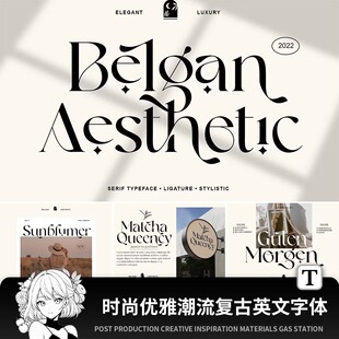 时尚优雅潮流复古女性logo海报排版英文字体安装包psai素材