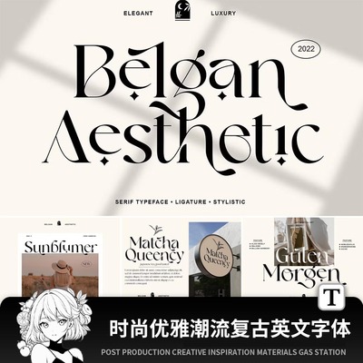 时尚优雅潮流复古女性logo海报排版英文字体安装包psai素材