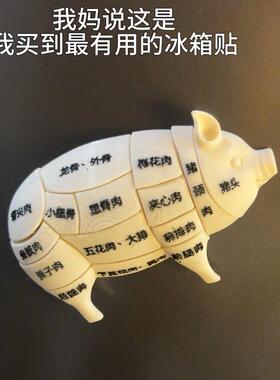 猪肉分割冰箱贴趣味分解部位模型了解形态参考摆件磁吸贴面板装饰
