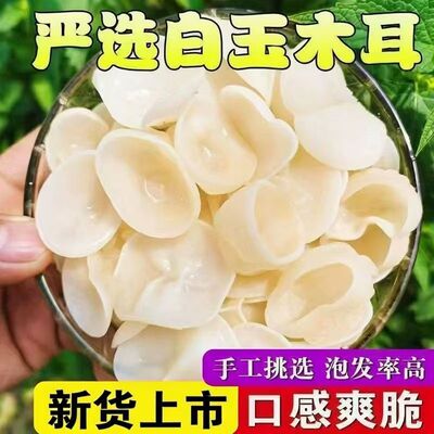 头茬大竹白玉特产木耳东北耳菌干货新货兔耳菌火锅炒菜新鲜食材