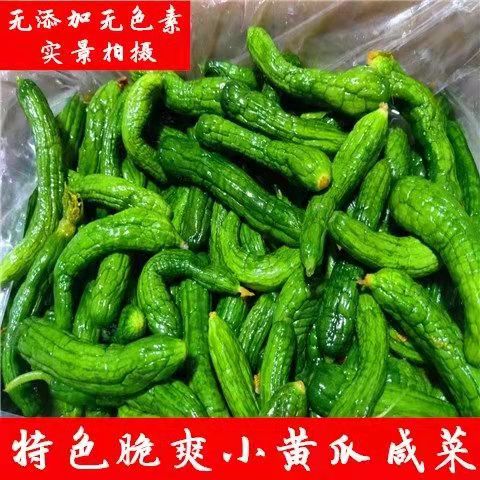 东北小黄瓜咸菜山东特产鲜脆可口小咸菜开胃下饭菜腌黄瓜