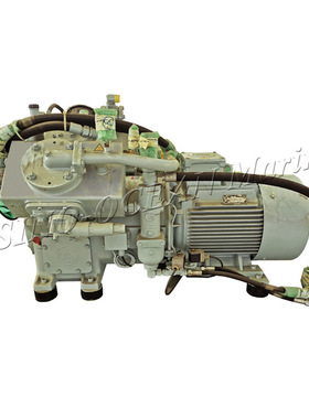 【现货秒发 船用 原厂】新远船舶空压机（含控制箱）SAUER  WP200