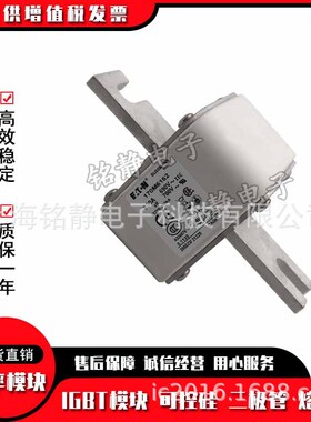 170M6081 170M6083 170M6085 170M6087巴斯曼熔断器型号齐全