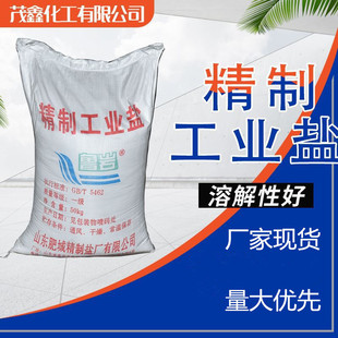 工业盐城市道路融雪剂冬天化冻水产养殖水处理大颗粒融雪盐工业盐