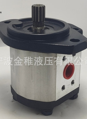 AZPN-11-032RDC07KB-S0081 齿轮泵煤矿机械用液压泵