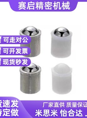 替代D10球头36柱塞c-PFSSN3/4/5/6/8/PFPPN12定位珠ZAL01/02/21/3