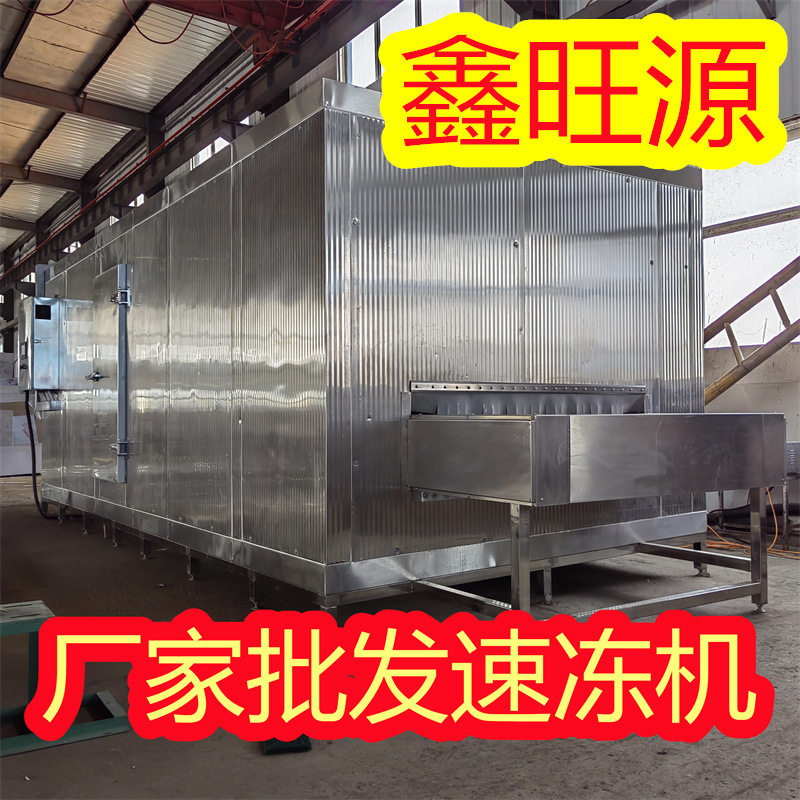 小龙虾鱼海鲜蔬菜加工急冻机 隧道压缩式速冻机 冷冻设备