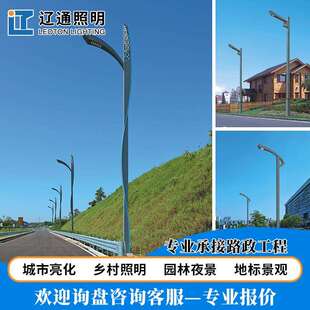 6-10米LED市电路灯城市户外防水市政道路照明高杆灯单双臂路灯