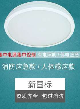 振辉36V低压智能吸顶灯LED过道走廊灯具楼梯灯雷ZF-ZFJC-E7W-8332