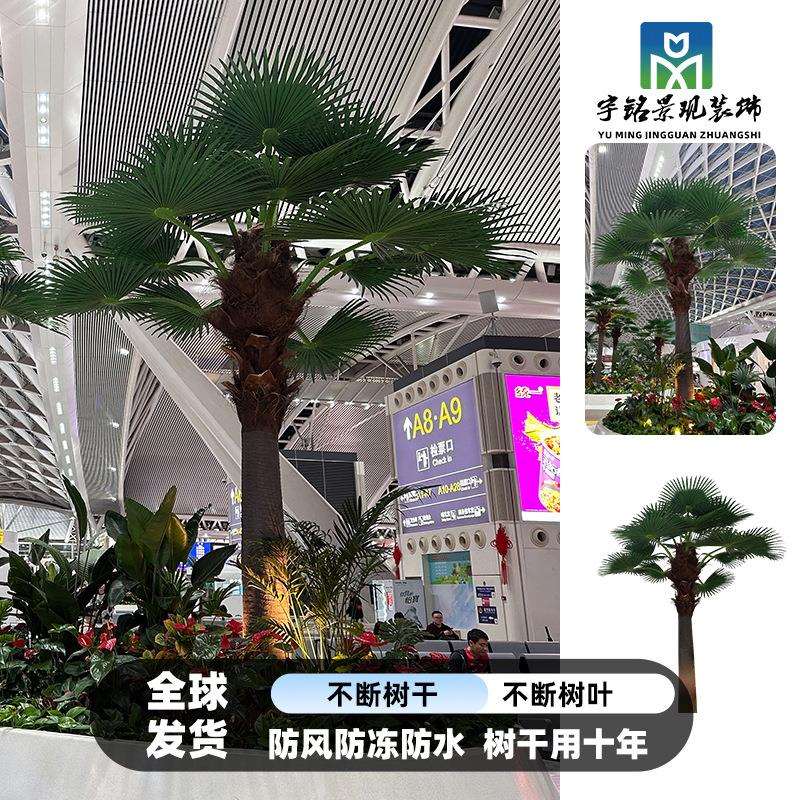 仿真棕榈树假椰子树装饰景观树室外仿真扇葵树人造树棕榈树仿真