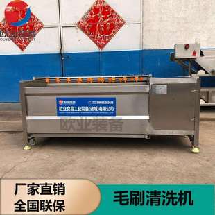 直发厨房设备大型小型都可洗菜切菜杀青整条流水线