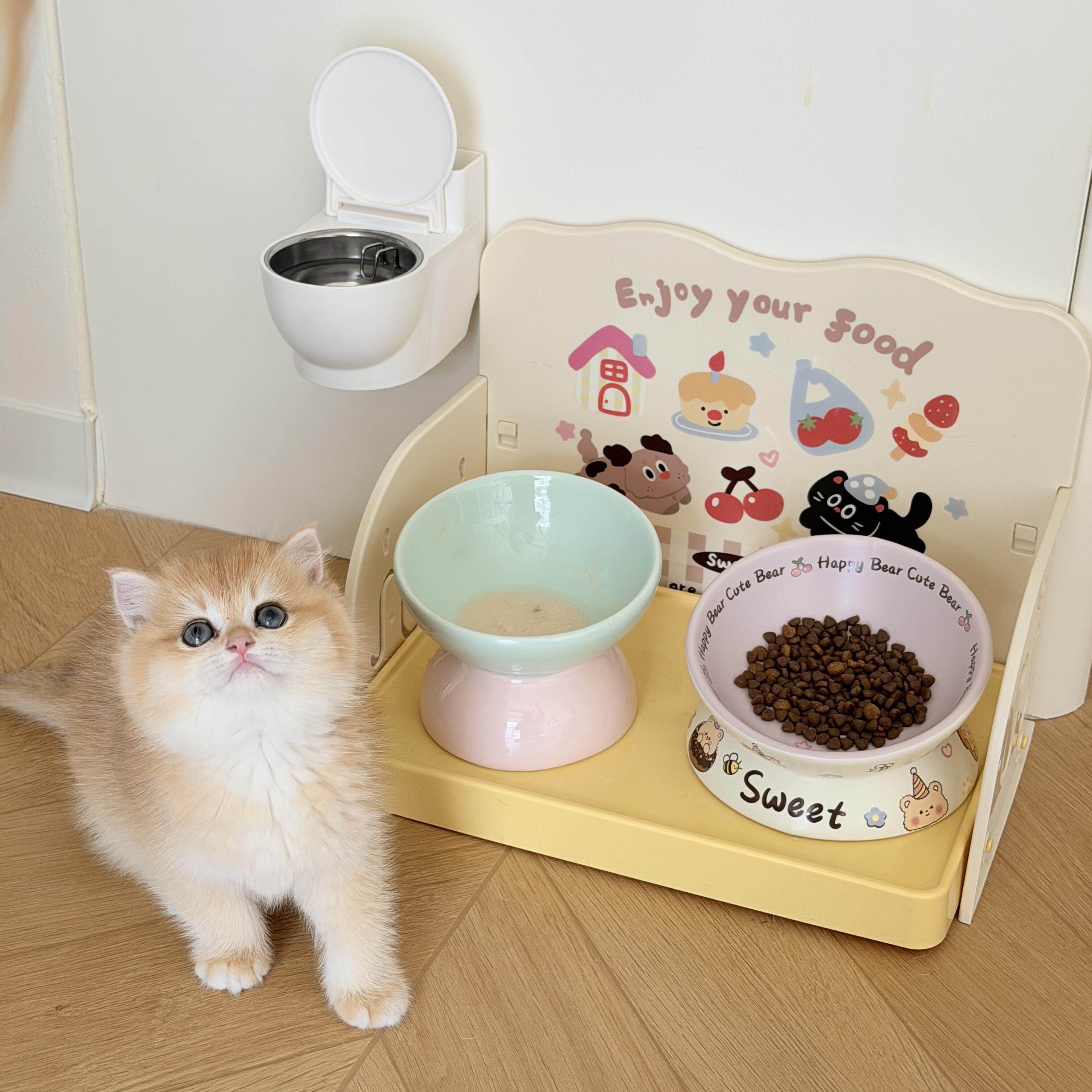猫碗陶瓷增高架保护颈椎大口径猫食盆宠物喝水碗防外溅餐桌架子