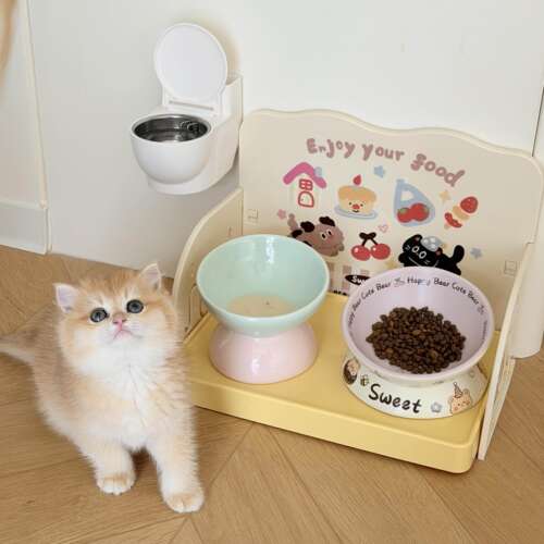 猫碗陶瓷增高架保护颈椎大口径猫食盆宠物喝水碗防外溅餐桌架子