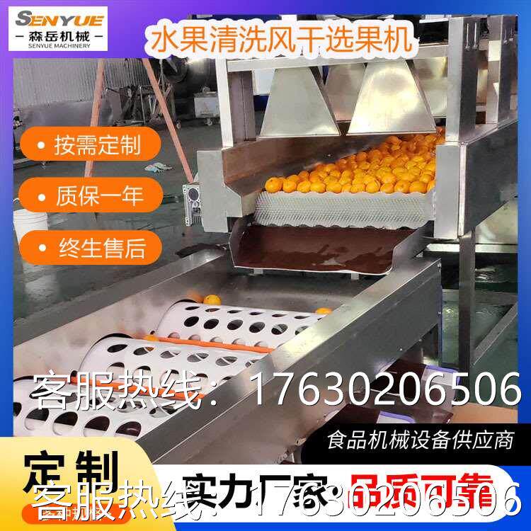 小型橙子清洗机水果清洗风干一体机沃柑打蜡选果机