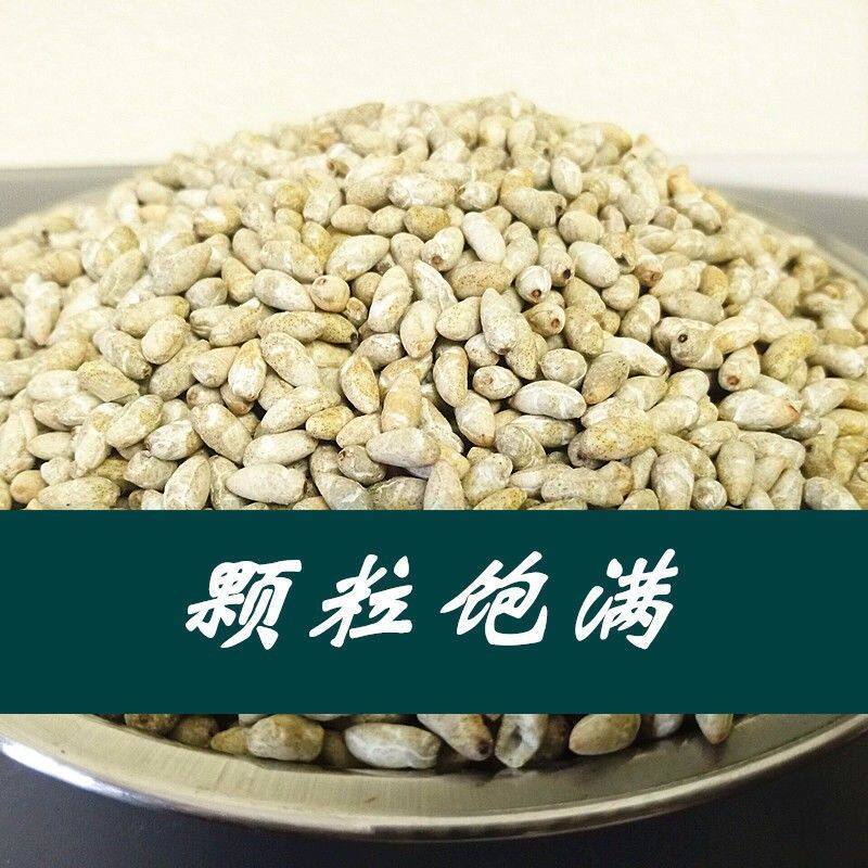 极速去壳棉花籽偏方食p用去皮药用生棉花子仁籽棉花子棉花仔儿棉