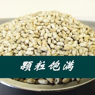 极速去壳棉花籽偏方食p用去皮药用生棉花子仁籽棉花子棉花仔儿棉