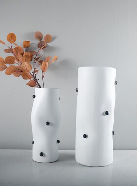 新品简约现代黑白条纹创意花瓶异形艺术感M高颜值花器摆件客厅玄