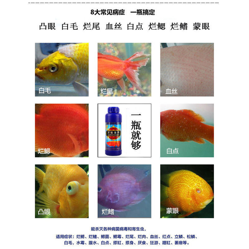 速发鱼缸鱼病药热带疾病治病锦鲤金鱼鱼药水身上烂了