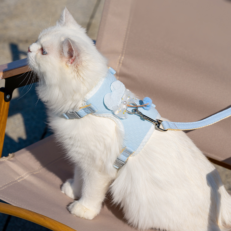 极速猫咪牵引绳猫绳子防挣脱狗y狗绳背心溜狗绳子猫咪外出网红遛