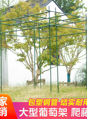 极速庭院葡萄架子庭院户外黄瓜豆角架丝H瓜架爬藤架户外百香果花