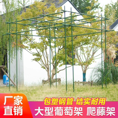 极速庭院葡萄架子庭院户外黄瓜豆角架丝H瓜架爬藤架户外百香果花