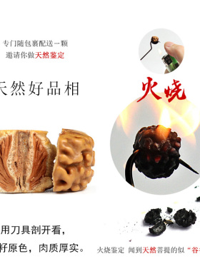 极速金刚菩提子手串男女佛u珠小手链天然尼泊尔藏式天眼珠龙纹配