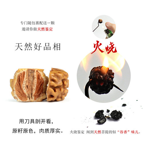 极速金刚菩提子手串男女佛u珠小手链天然尼泊尔藏式天眼珠龙纹配