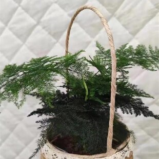 极速提花篮童清FXM新花装饰手A工仿花藤编篮插花花婚礼束手手得篮