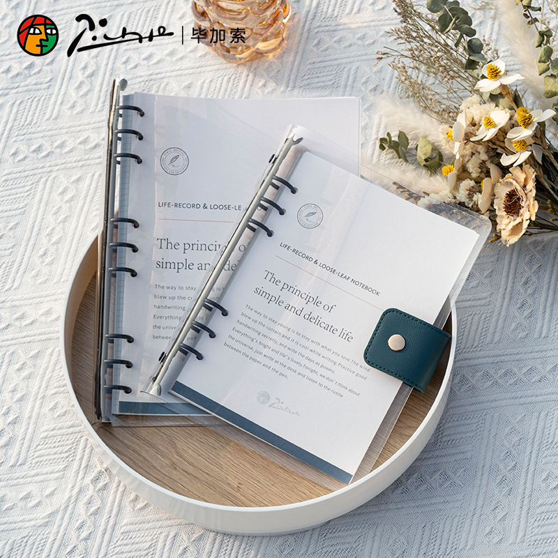 毕加索P505原野系列活页本笔记本错题本a5简约ins风拆卸K替芯b5横